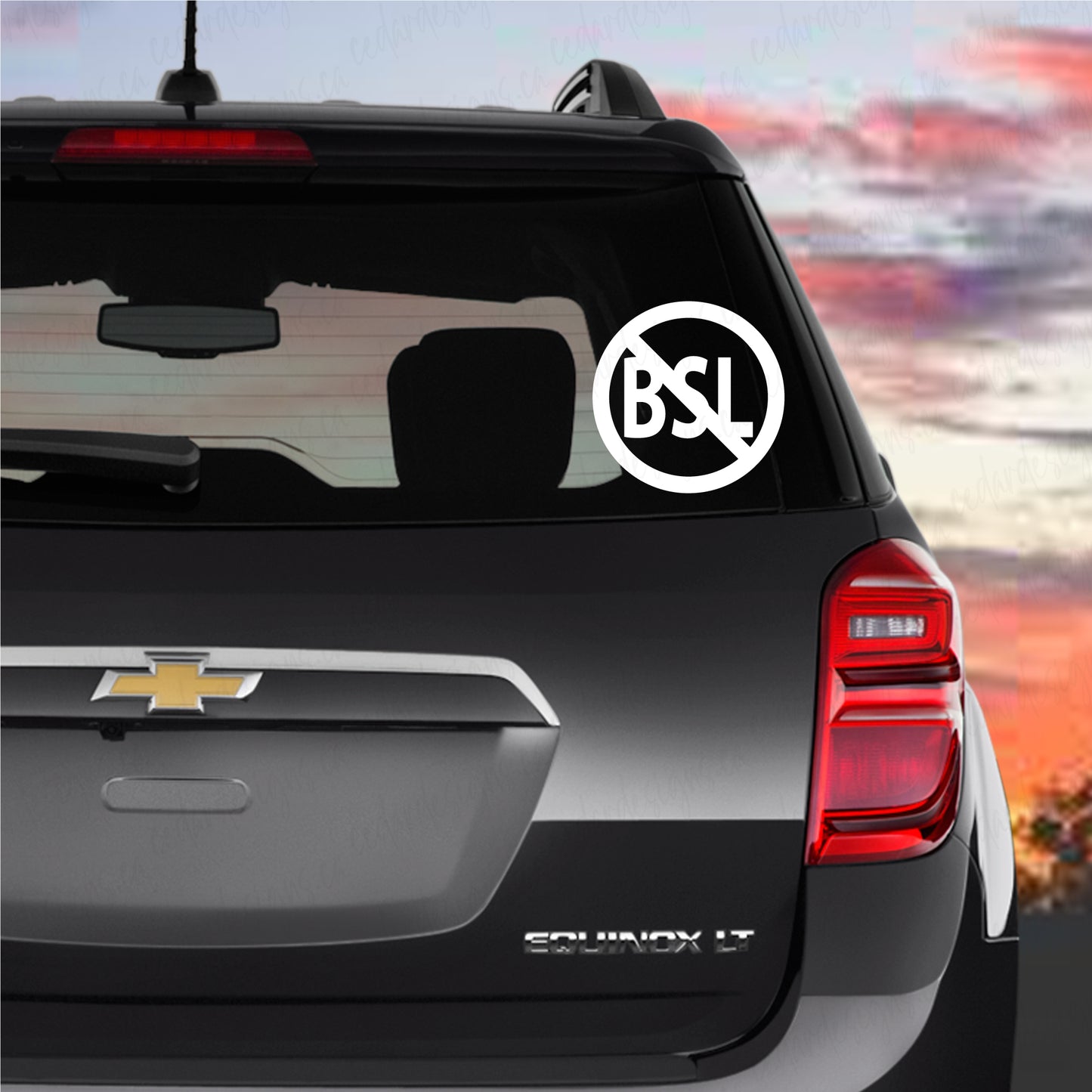 BSL Decal, Premium Vinyl Decal - Weatherproof & Easy to Apply!