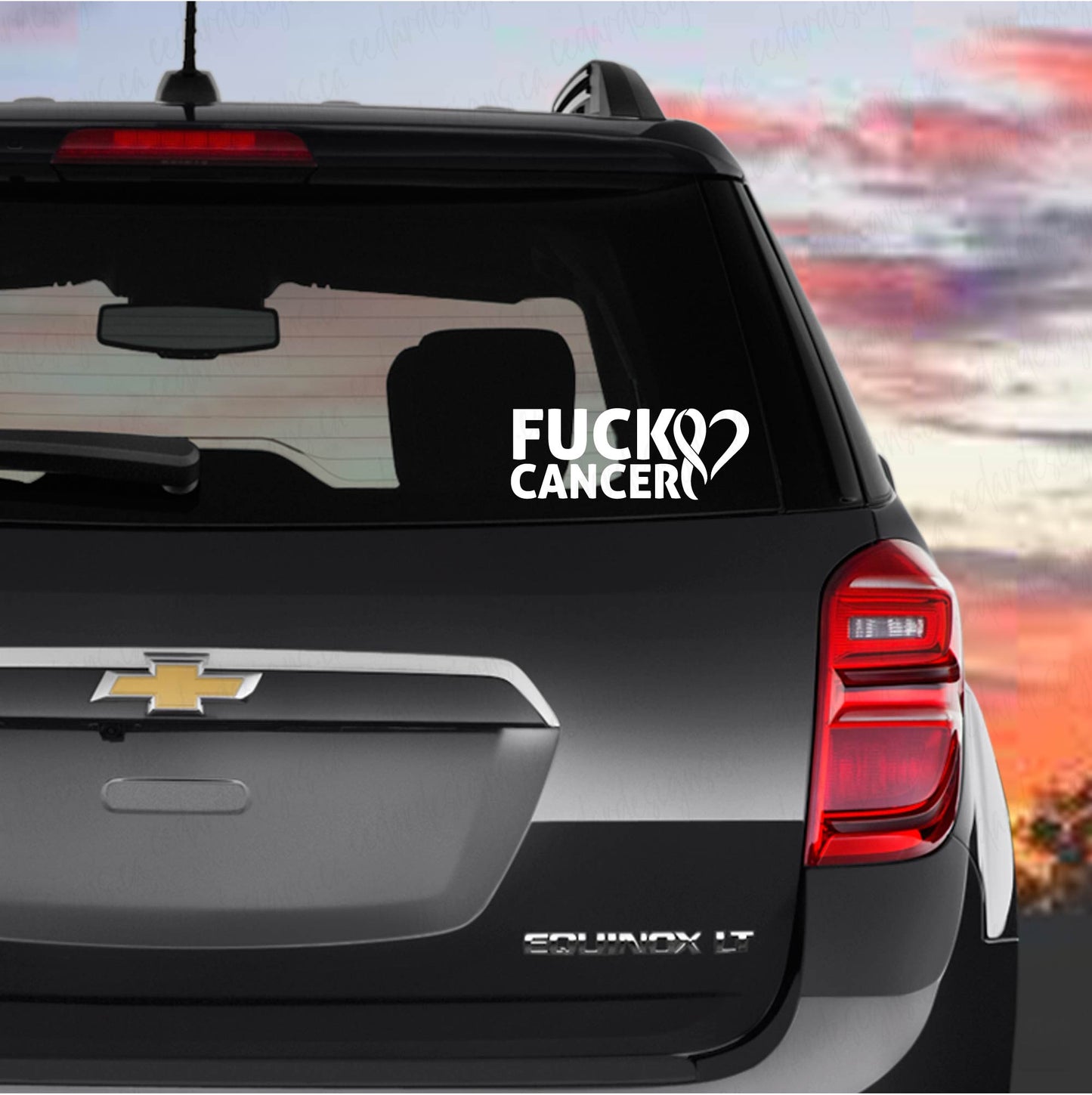 FUCK CANCER Decal, Premium Vinyl Decal - Weatherproof & Easy to Apply!