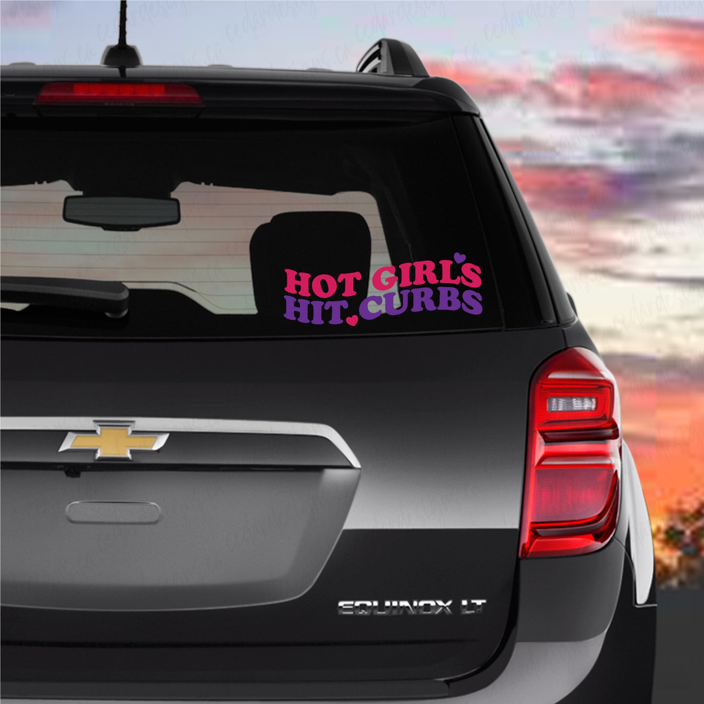 HOT GIRLS HIT CURBS Decal, Premium Vinyl Decal - Weatherproof & Easy to Apply!