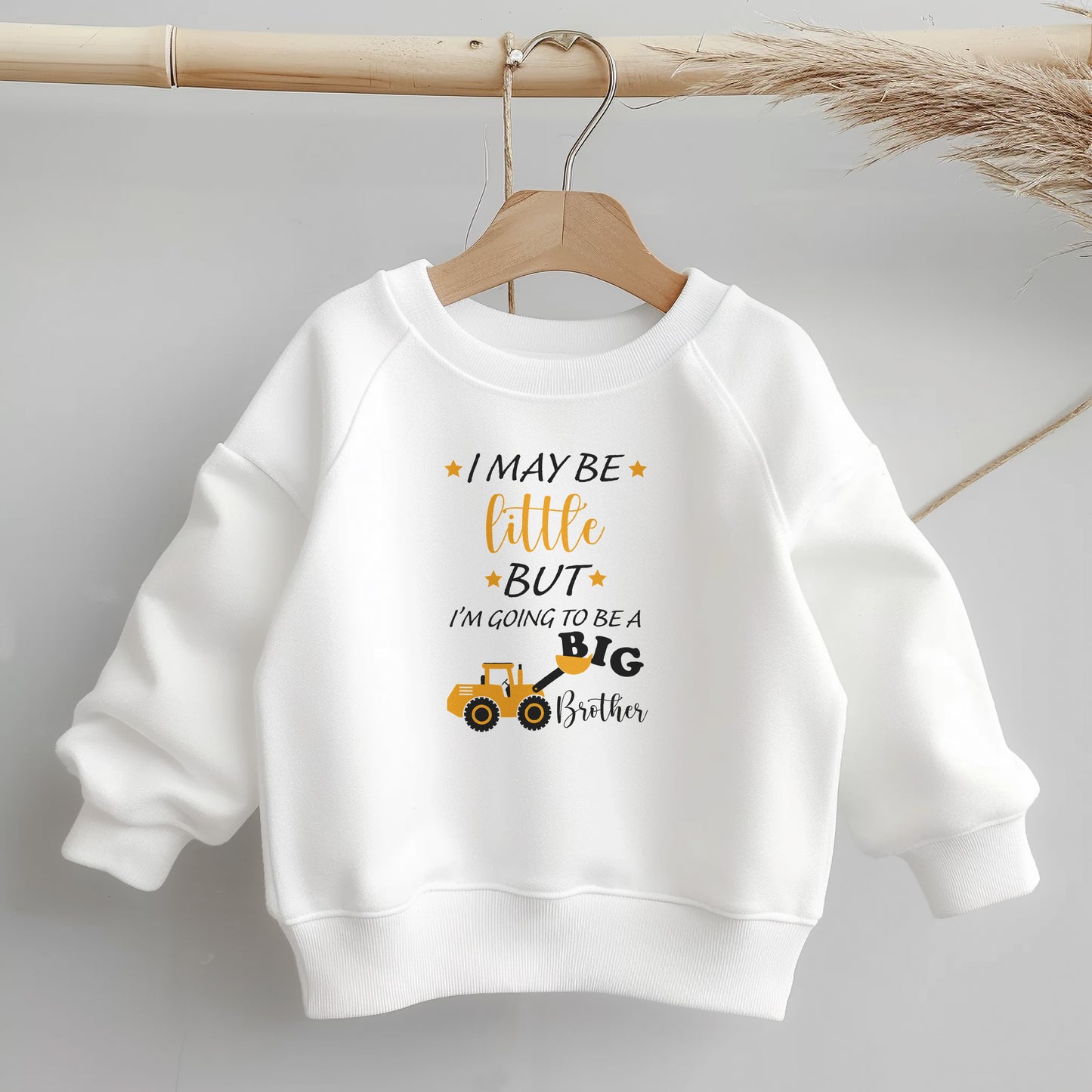 I may be little but I'm going to be a Big Brother, Little Style, Big Comfort – Everyday Toddler Sweatshirt