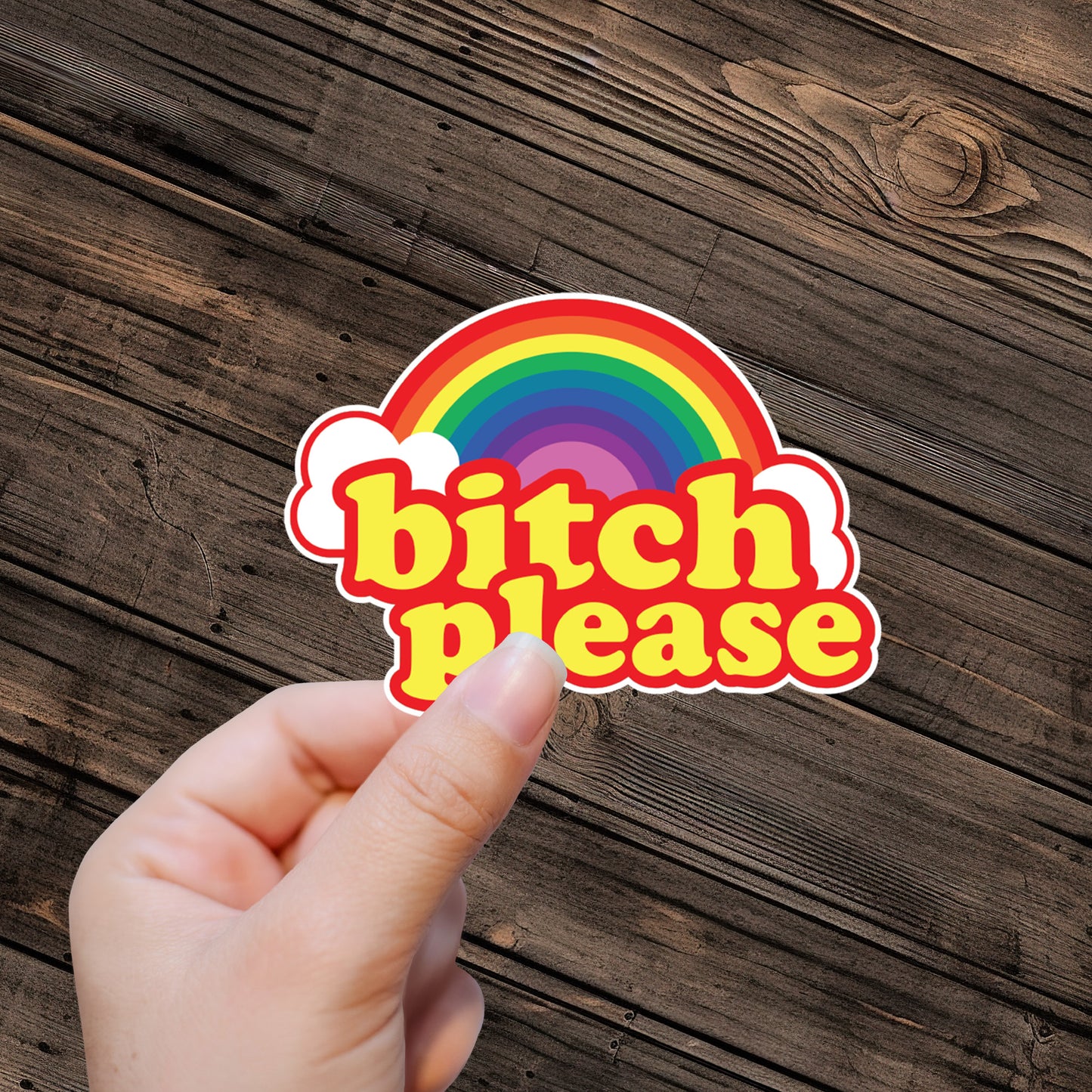 bitch please Sticker - Premium Vinyl Sticker - Weatherproof & Easy to Apply