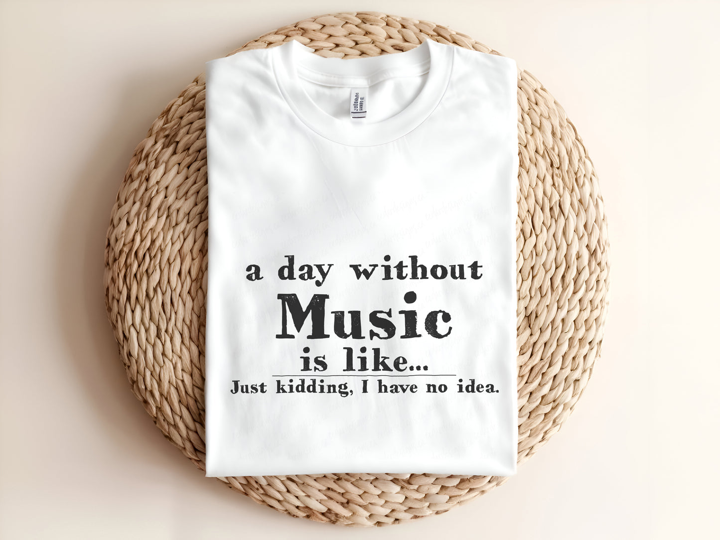 Adult unisex graphic t-shirt featuring “A Day Without Music” design, casual crewneck tee for music lovers.