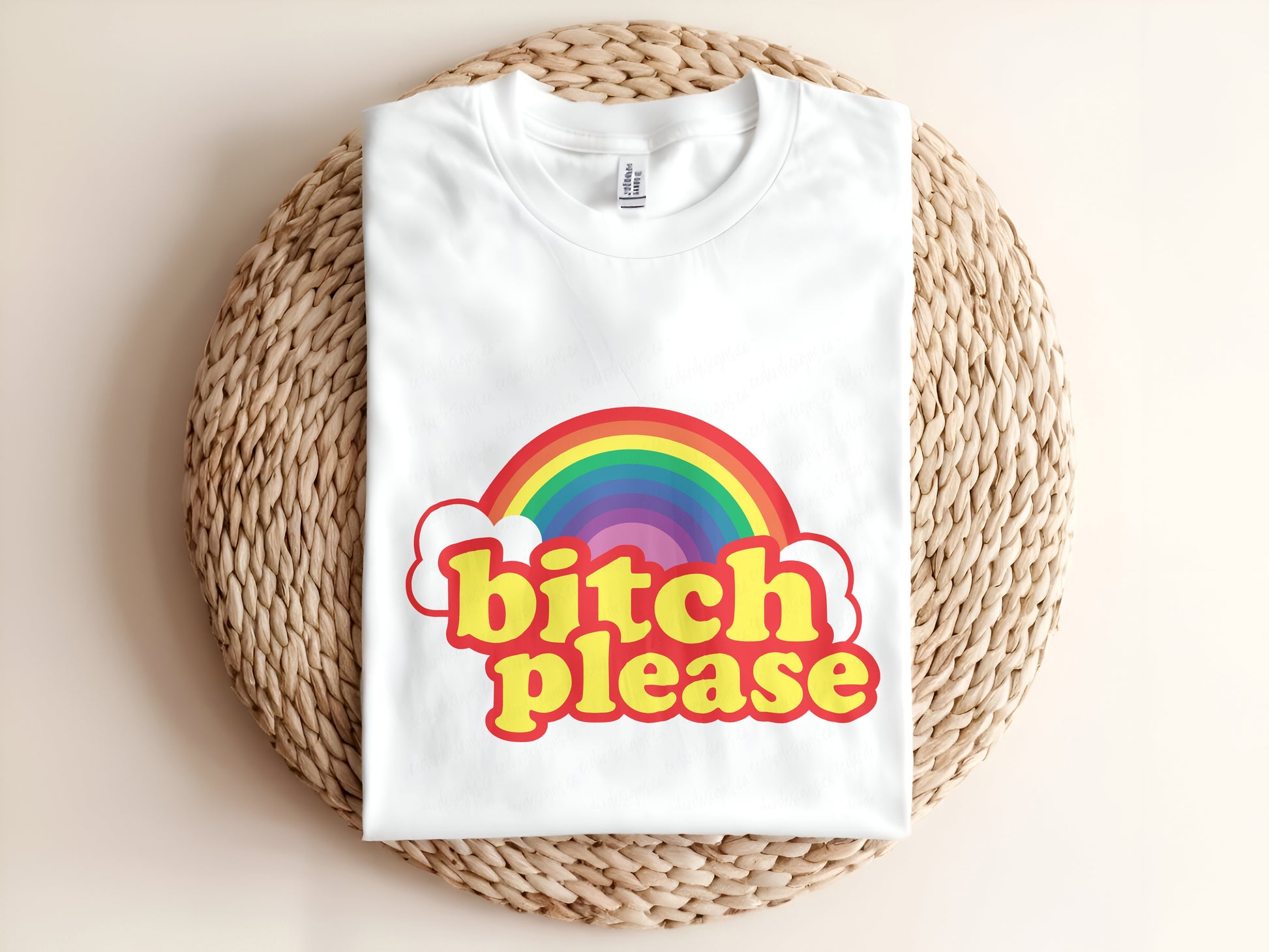 Adult graphic t-shirt featuring “Bitch Please” slogan, funny unisex tee with bold attitude.